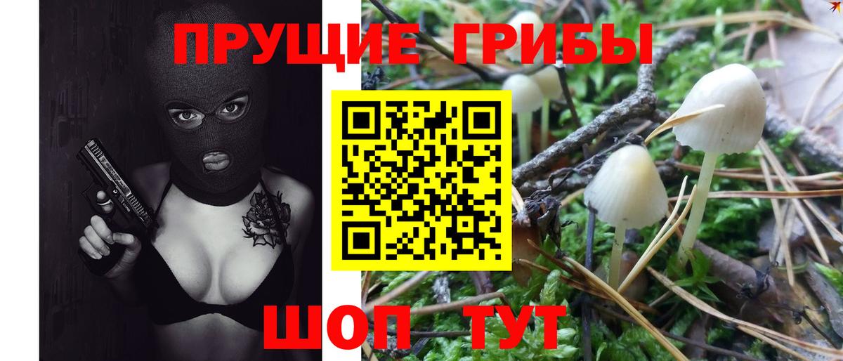 Камышин  Галлюциногенные грибы ЛСД  Вход с VPN  Псилоцибиновые грибы GOLDEN TEACHER 